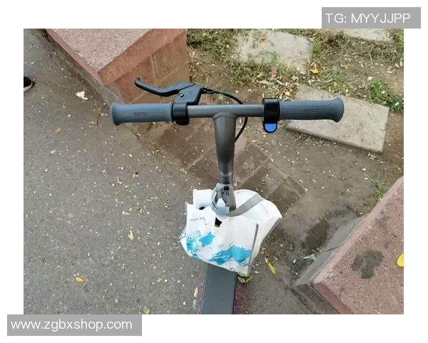 武汉滑板队快攻战术解析与滑板文化的融合探讨