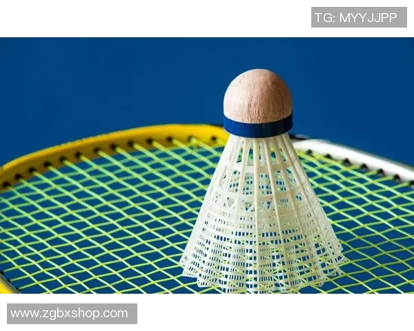 西安羽毛球队节奏对比深度解析与战术演变探讨 西安羽毛球队节奏对比深度解析与战术演变探讨